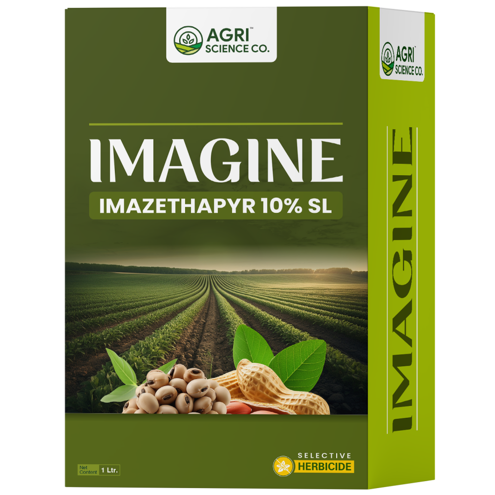 IMAGINE
