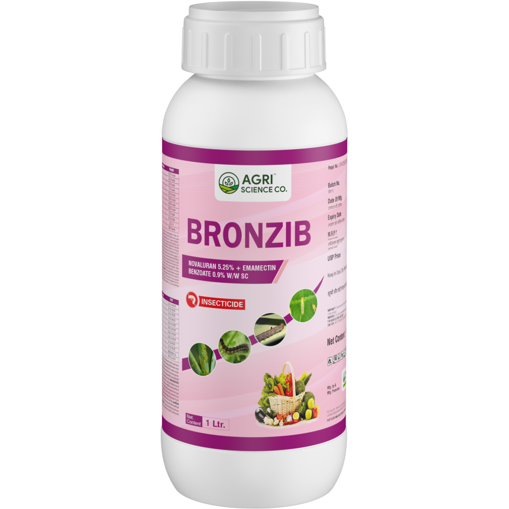 BRONZIB